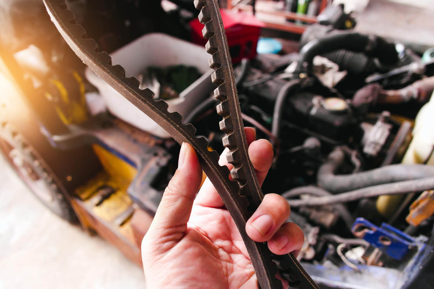 Professional Timing Belt in Brooklyn